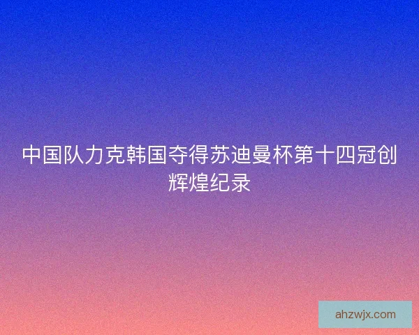 中国队力克韩国夺得苏迪曼杯第十四冠创辉煌纪录